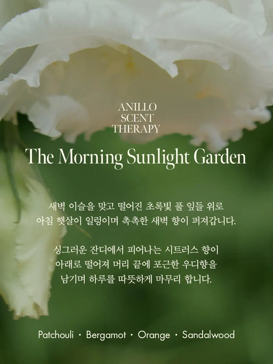 [올영단독] 아닐로 패츌리가든 데미지 리페어 크림 헤어 미스트 70ml 상세페이지 22
